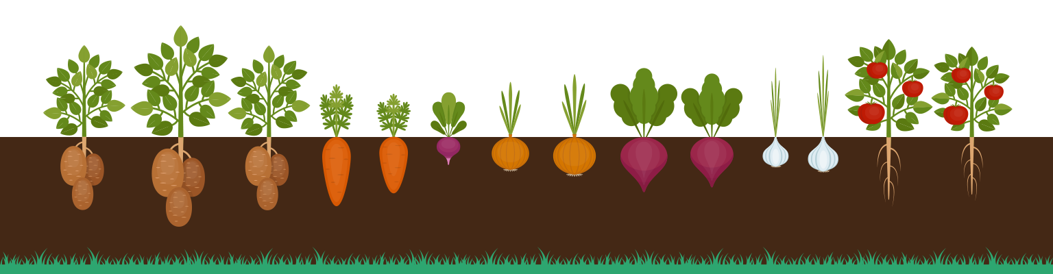 A mix of fruit and vegetables growing including garlic, carrots, beetroot, potatoes and tomatoes