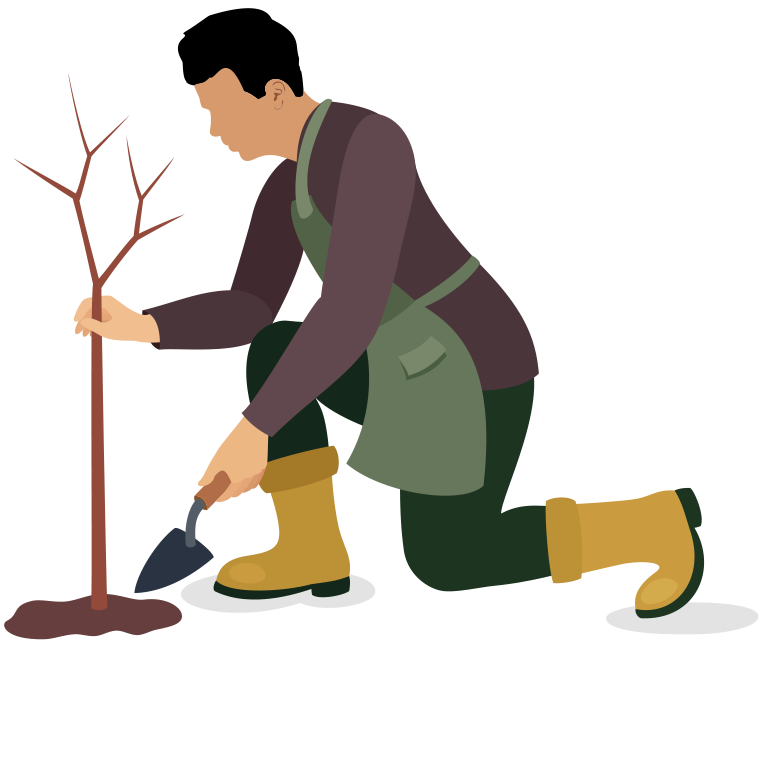 A gardener planting a tree or shrub.
